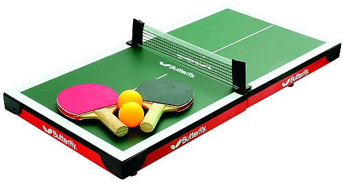 Mini Ping Pong Table Guide Table Tennis Spot